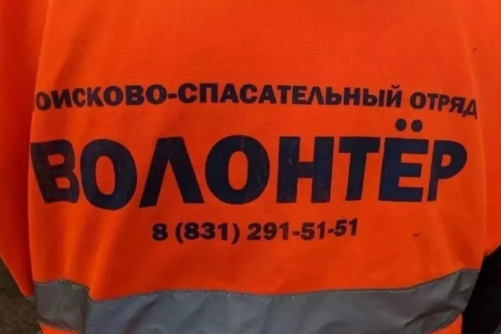 Фото 13-летний подросток пропал в Борском районе 20 марта - Новости Живем в Нижнем