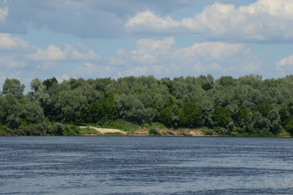 Фото 6 человек утонули за неделю в Нижегородской области - Новости Живем в Нижнем