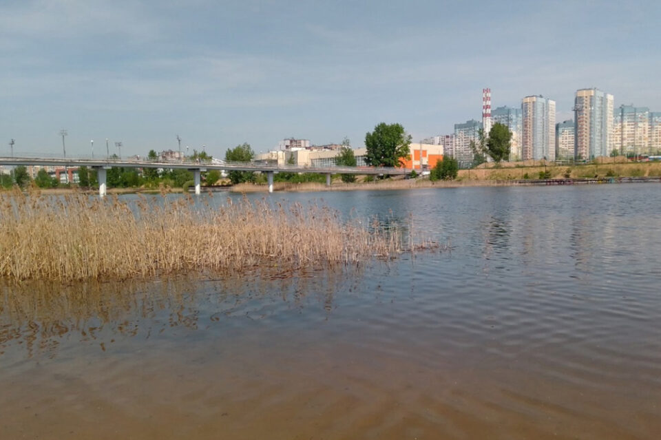 Фото 8 водоемов не рекомендованы для купания в Нижнем Новгороде - Новости Живем в Нижнем