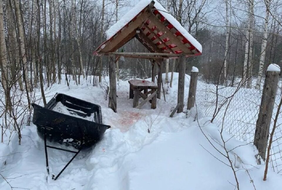 Фото Нижегородцу грозит до 2 лет колонии за убийство лося - Новости Живем в Нижнем