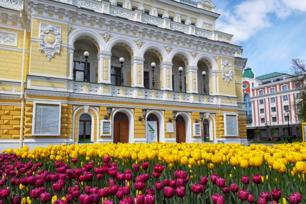 Фото Спекулянты продают билеты в Нижегородский театр драмы на поддельном сайте - Новости Живем в Нижнем