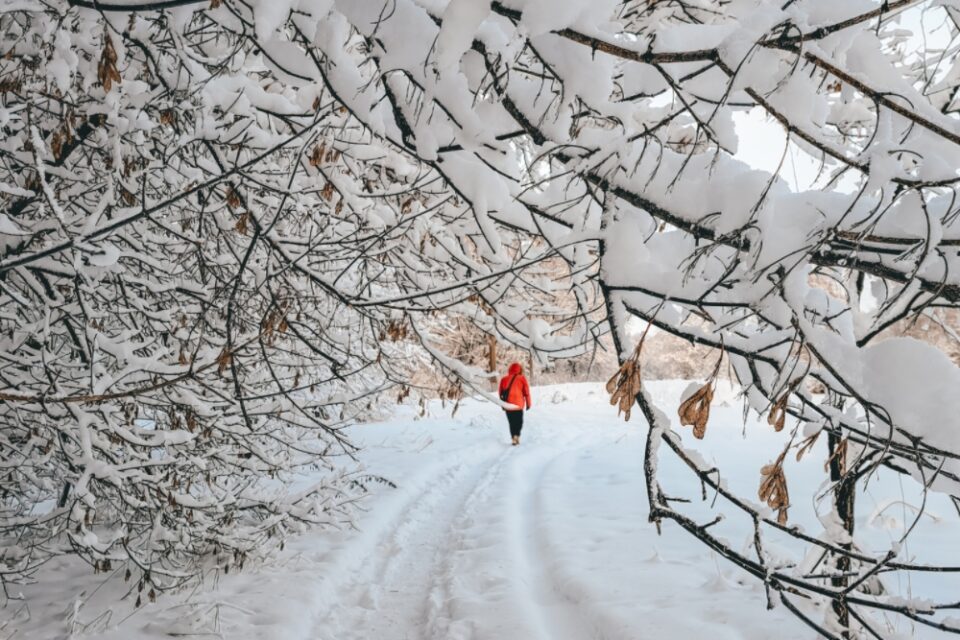 Фото Ясный день без осадков обещают нижегородцам на 27 февраля - Новости Живем в Нижнем