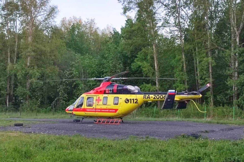 Фото Покусанную ротвейлером девочку доставили в Нижний Новгород из Сарова на вертолете - Новости Живем в Нижнем