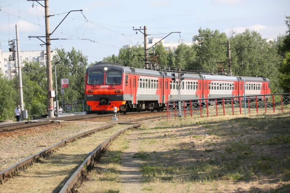 Фото Потерявшуюся собаку из электрички Нижний Новгород – Пижма вернули хозяйке - Новости Живем в Нижнем