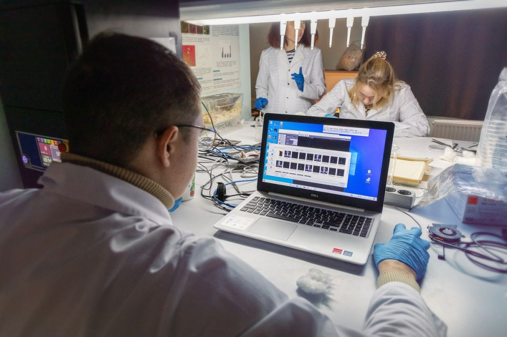 Фото Ученые ННГУ разработали метод оценки эффективности фотодинамической терапии рака - Новости Живем в Нижнем