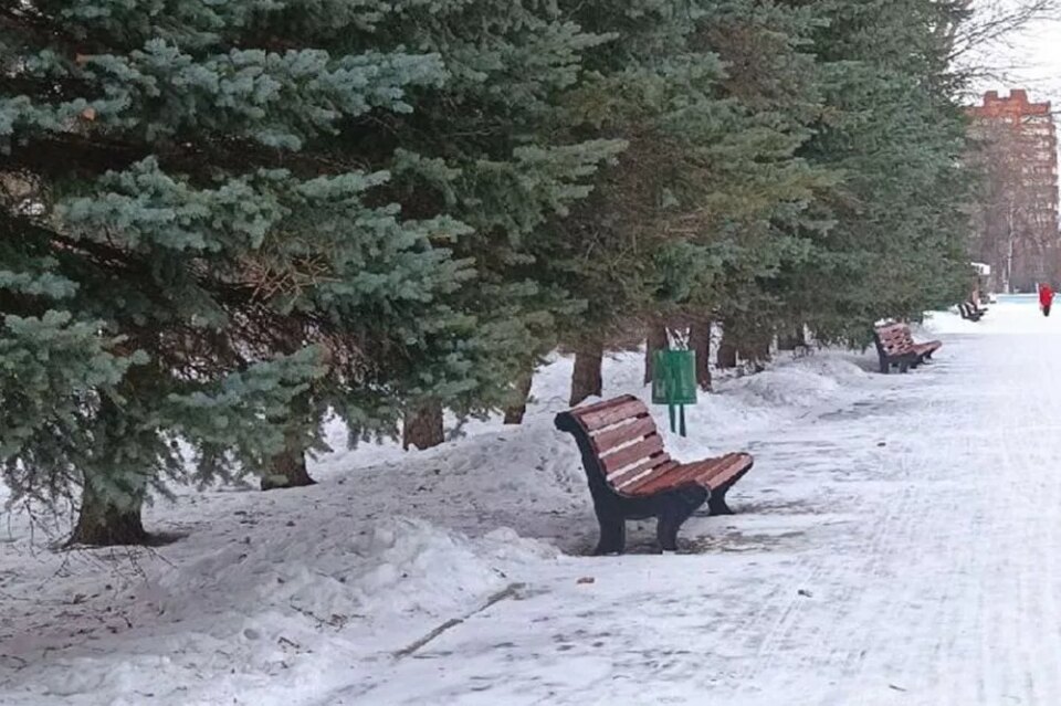 Фото Автозаводский парк в Нижнем Новгороде планируют благоустроить до конца 2026 года - Новости Живем в Нижнем