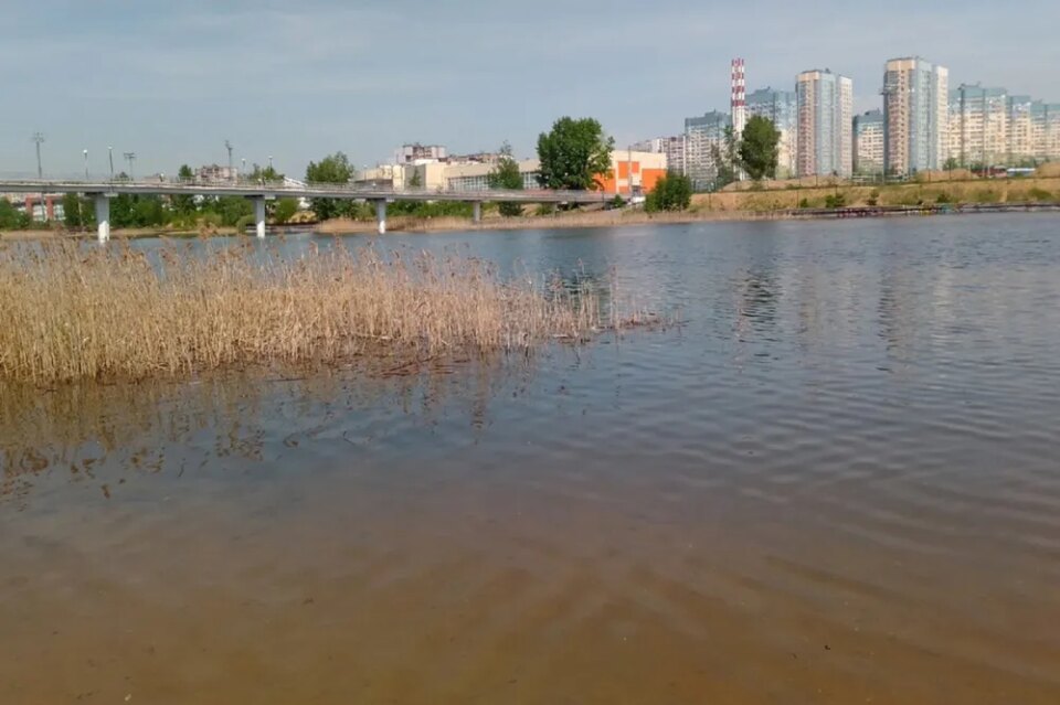 Фото Девять пляжей не рекомендовали для купания в Нижегородской области - Новости Живем в Нижнем