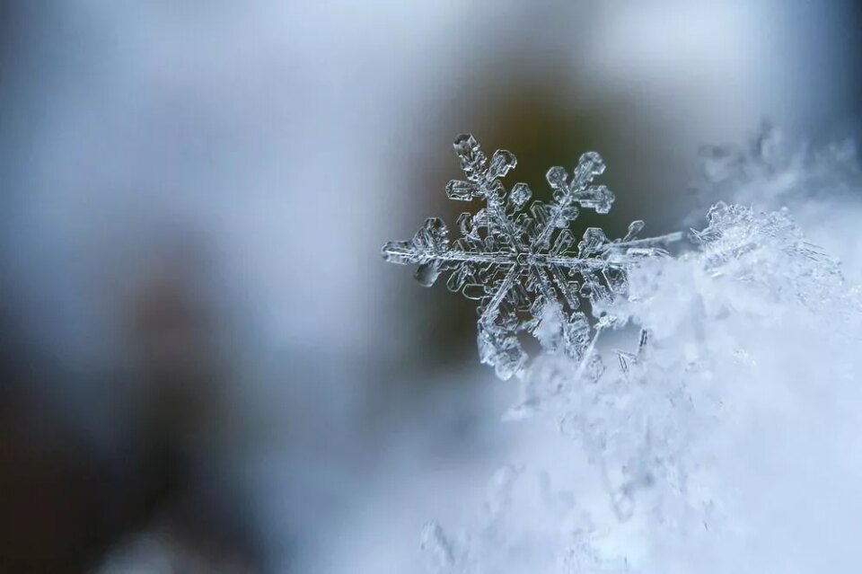 Фото Снег и -8°C обещают нижегородцам на 22 февраля - Новости Живем в Нижнем