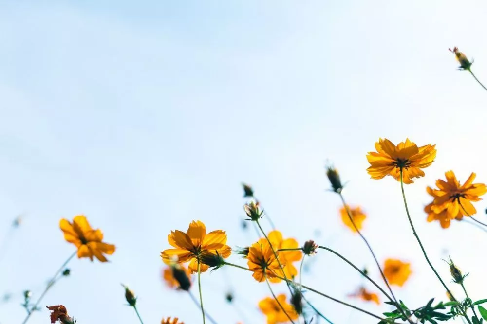 Фото Народные приметы на 8 апреля: чего нельзя делать, чтобы не оказаться опасности в день Гавриила - Новости Живем в Нижнем