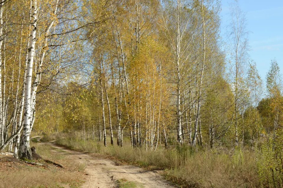 Фото «Не пересушивайте кожу»: нижегородцам дали рекомендации по борьбе с сезонной угревой сыпью - Новости Живем в Нижнем