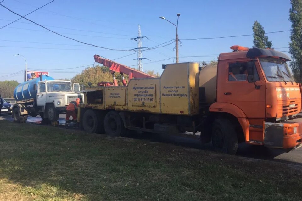 Фото Нижегородца поймали с поличным во время слива отходов в ливневку - Новости Живем в Нижнем