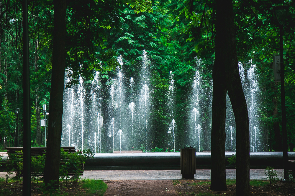 Фото Нижегородцы снова начали спорить о переименовании парка «Швейцария» - Новости Живем в Нижнем