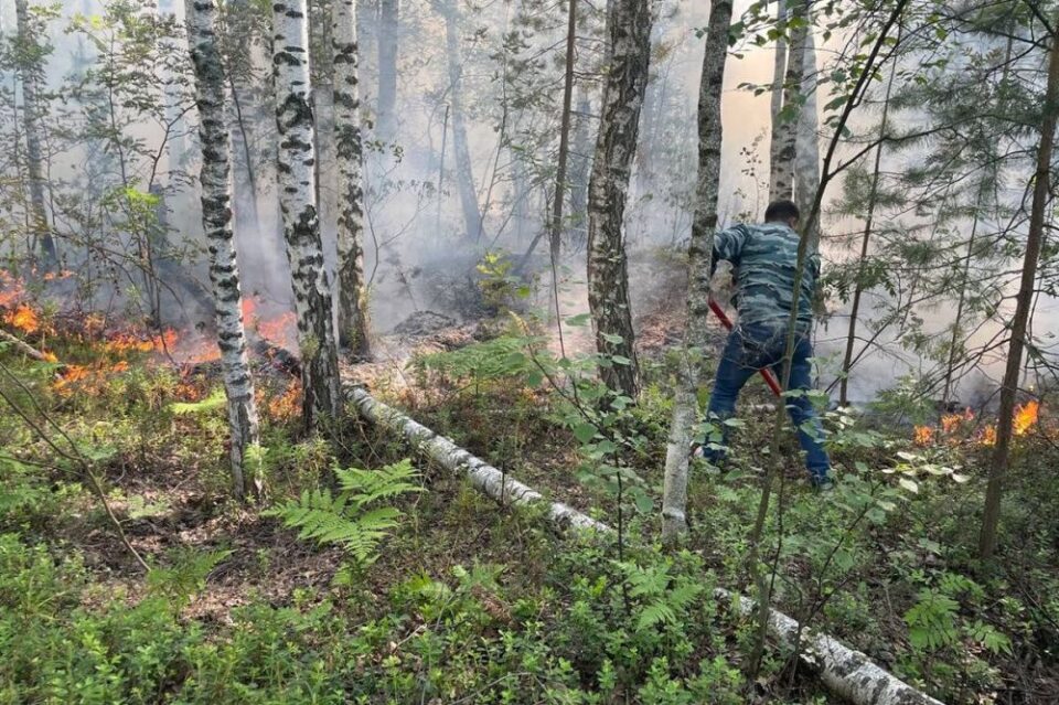 Фото Режим повышенной готовности ввели в Балахнинском округе из-за горящего торфяника - Новости Живем в Нижнем