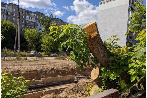 Фото Почти 60 деревьев вырубили в Ленинском районе Нижнего Новгорода из-за новой теплотрассы  - Новости Живем в Нижнем