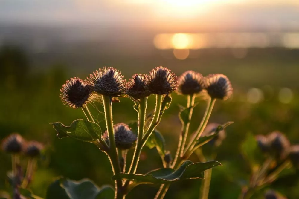 Фото Народные приметы на 14 июня: кому нельзя выходить из дома в Устинов день - Новости Живем в Нижнем