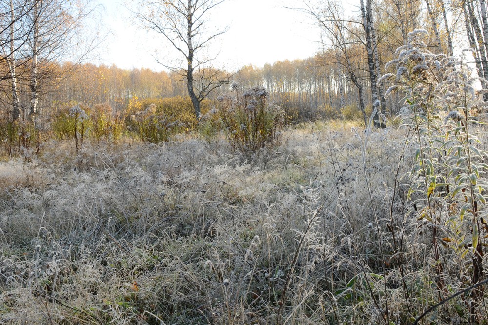 Фото Стало известно, когда в Нижнем Новгороде ударят морозы - Новости Живем в Нижнем