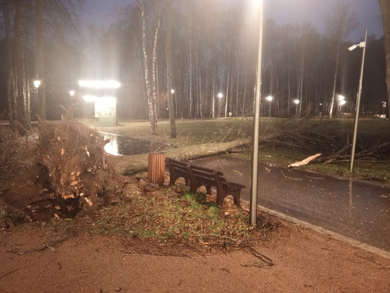 Ураган повалил деревья в нижегородском парке «Швейцария»