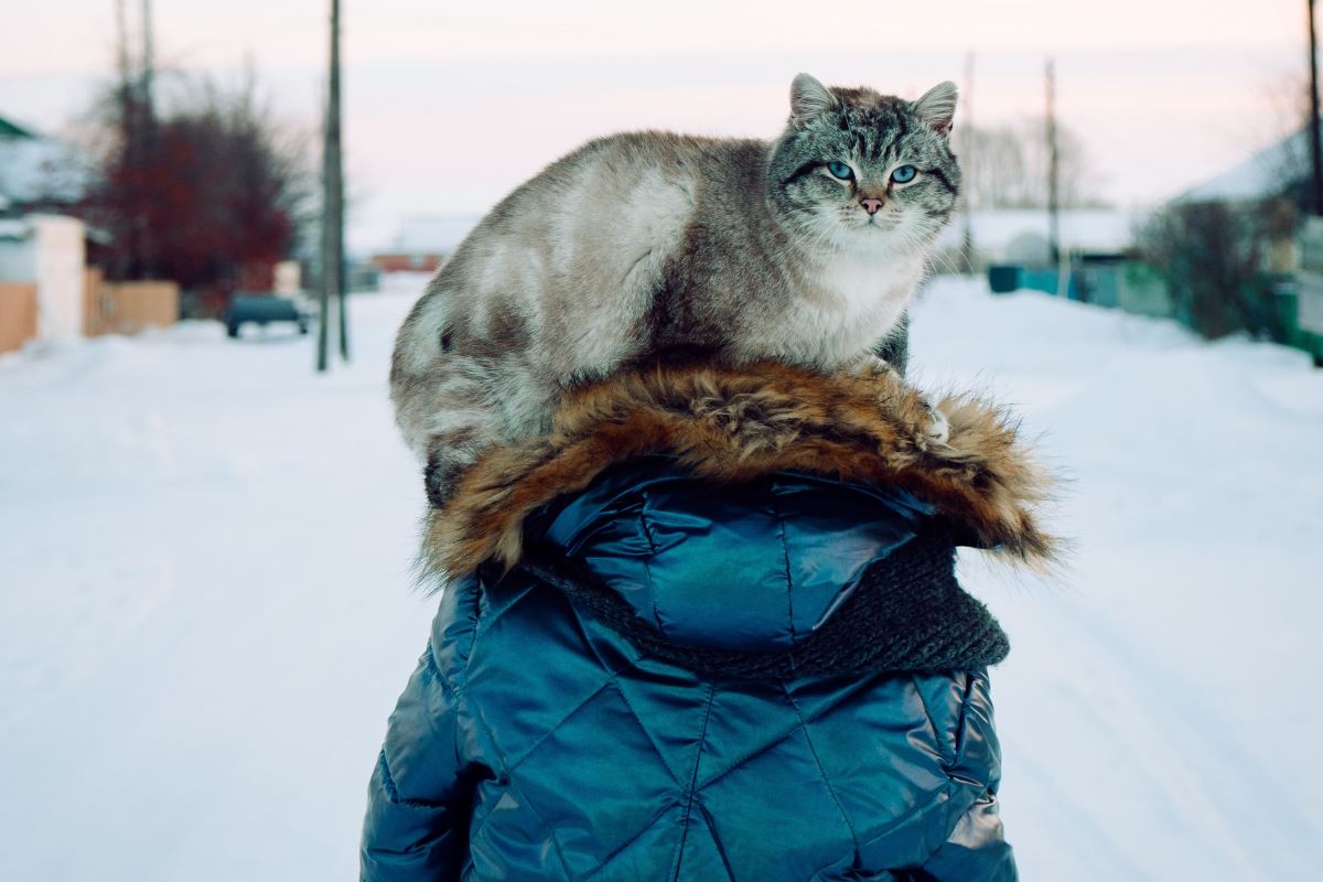 Фото В Нижнем Белье В Зеркале Домашнее