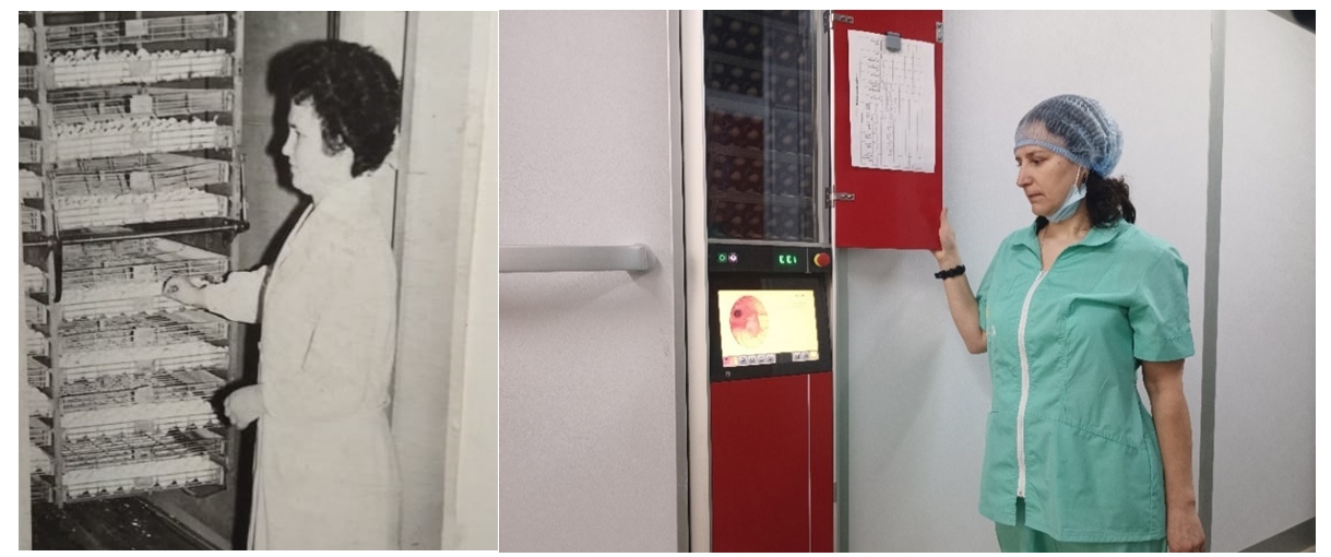 Птицефабрика будущего: как традиции дополняются технологиями