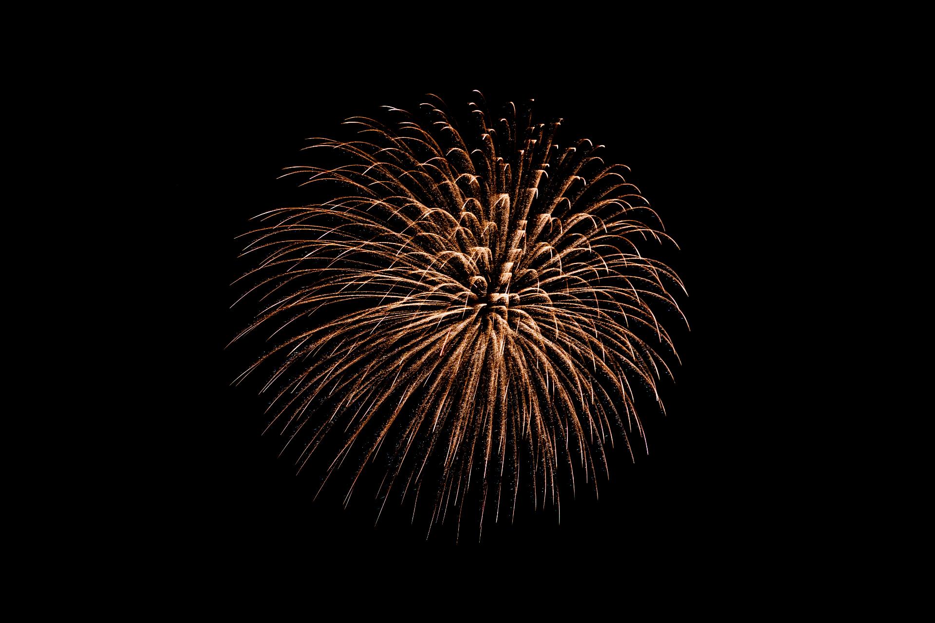 Счет за Новый год: какие штрафы грозят за елку, шум после полуночи и алкоголь