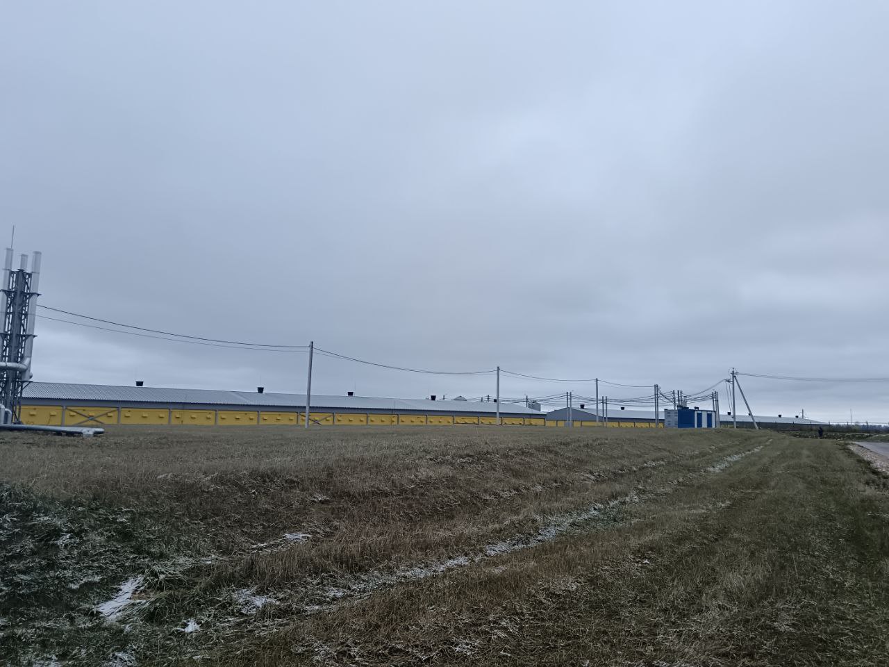 Расти, курочка, большая и здоровая: в Вачском округе открыли 18 новых птичников