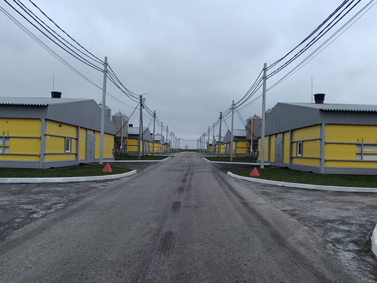 Расти, курочка, большая и здоровая: в Вачском округе открыли 18 новых птичников