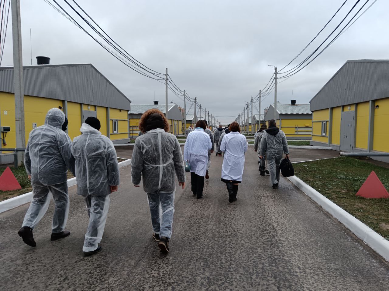 Расти, курочка, большая и здоровая: в Вачском округе открыли 18 новых птичников