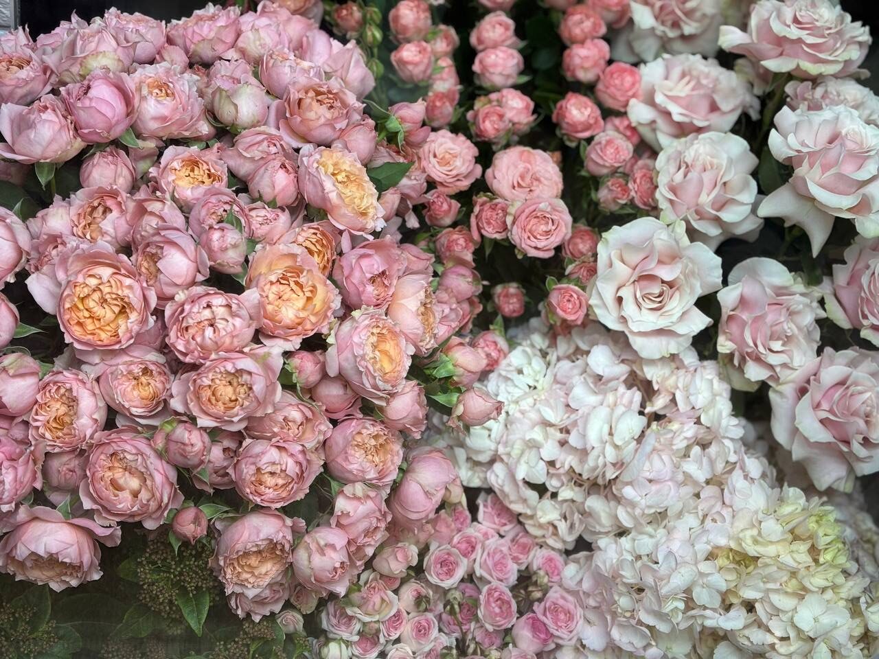 Красные, белые, «дофаминовые»: какие цветы дарят девушкам 14 февраля