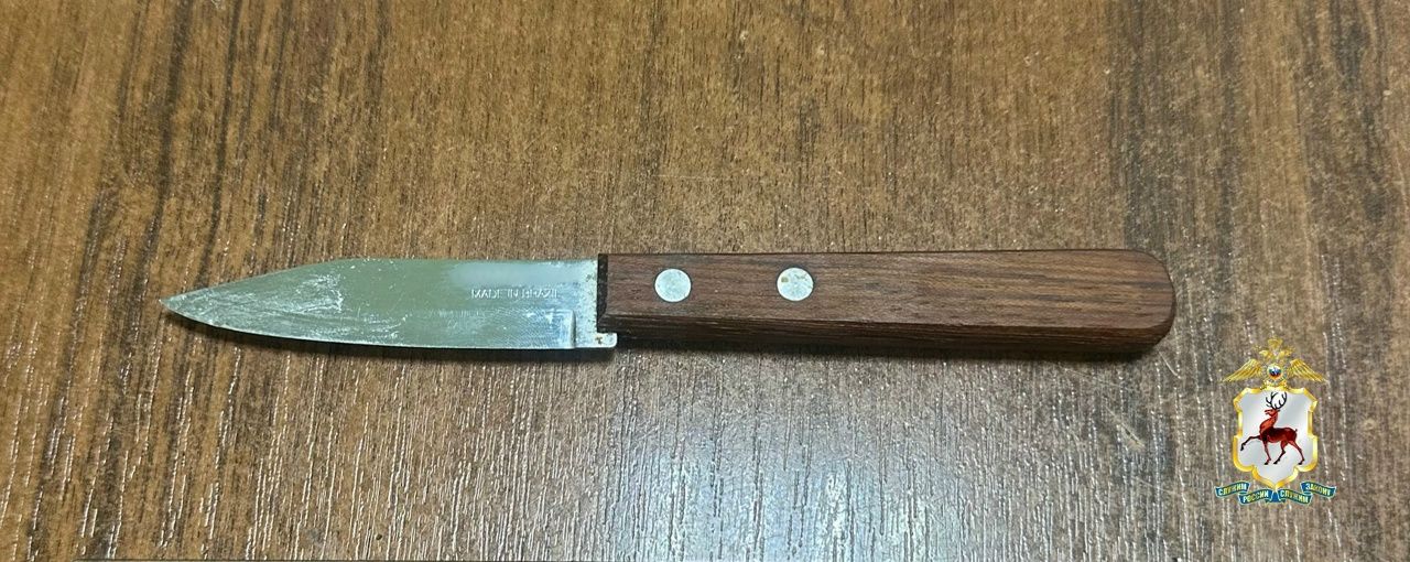 Житель поселка Ковернино задержан за угрозу убийством сожительнице