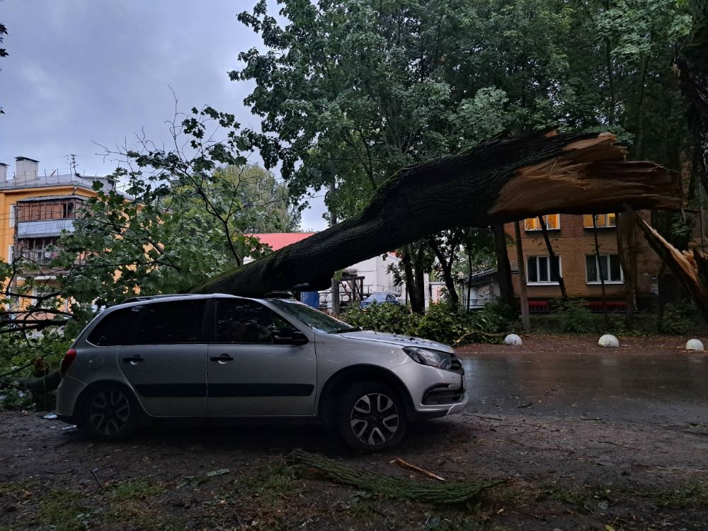 Огромное дерево рухнуло на легковушку в центре Нижнего Новгорода