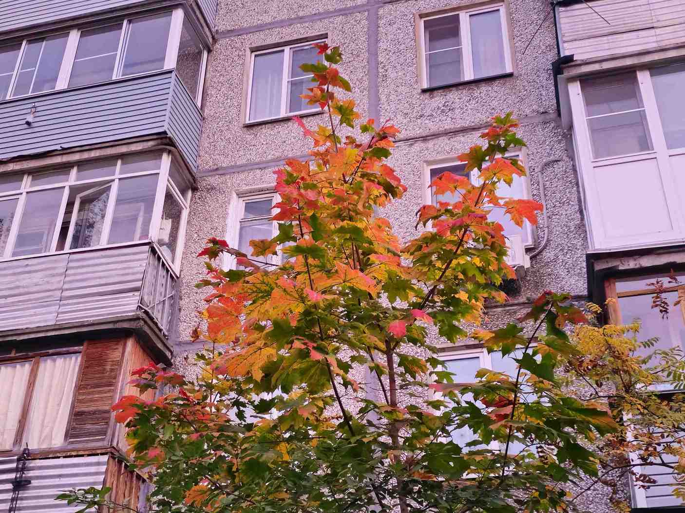 Похолодание до 0 градусов ожидает нижегородцев в первые выходные октября