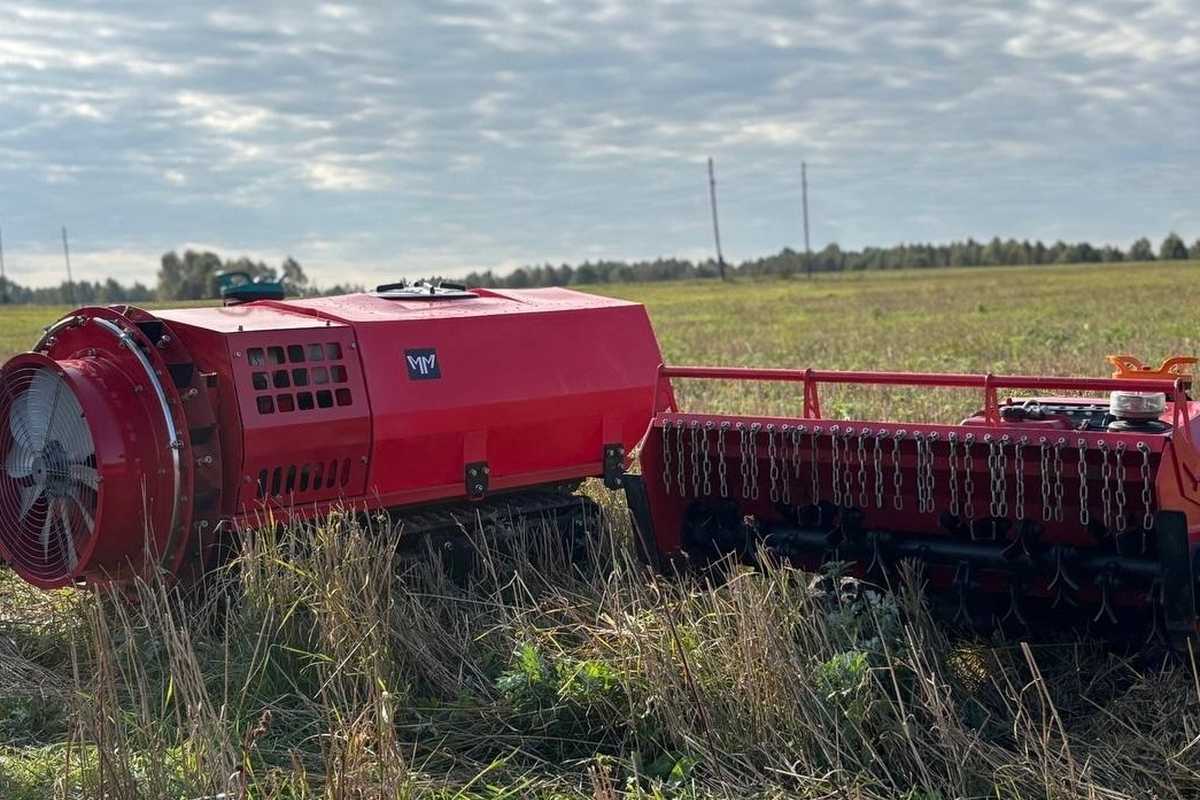 Нижегородские специалисты разработали комплекс для борьбы с борщевиком