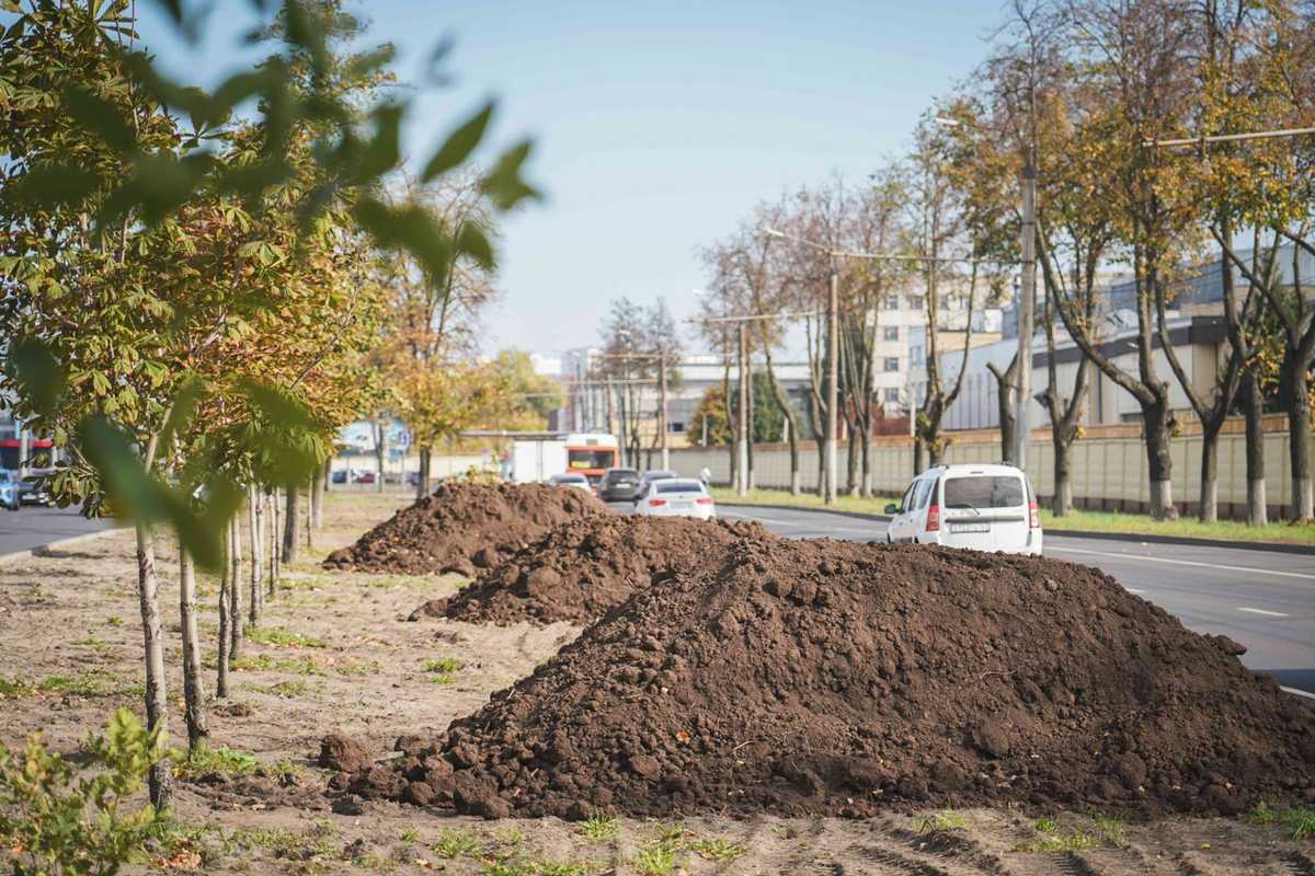 15 000 «квадратов» газона восстановили в Автозаводском районе Нижнего Новгорода
